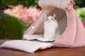 FB_IMG_1659542007198.jpg