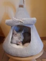 STOJAK ZE SKLEJKI - do budek dla kota (kompozycja z Budką CAT CAB FLAP)