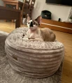 PUFA FUR ANTYSTRESOWA WYSOKA - legowisko dla kota