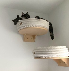 LOW VELCRO FUR NEST - cat bed | choose size and fur