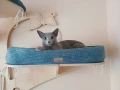 IMG-20250518-WA0001.jpg