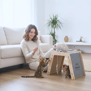 BABYSITTER cat scratching post | play and rest zone | choose plywood color