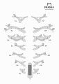 Półka na ścianę dla kota - drzewko dla kota - BRANCH H-L 75x35, platforma dla kota 75x35, gałąź, PRASKA- Oznaczenia Gałęzi