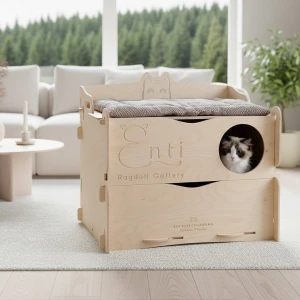PRINCESS DELIVERY BOX for cats | PREMIUM version | choose the color of plywood, fabric and fur