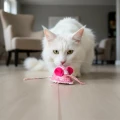 BIMBAM Mouse – myszka zabawka sensoryczna dla kota z dzwonkiem