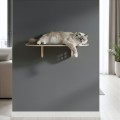 Drapak OVALSLEEP dla kota | 75×35 cm