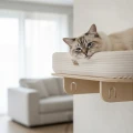 Polka-na-sciane-OVALSLEEP-GNIAZDKO-dla-kota--7535-cm.jpg