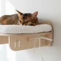 Polka-na-sciane-OVALSLEEP-dla-kota--7535-cm--wybor-sklejki-i-tkaniny.jpg