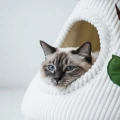 CAT CAB SAD - budka dla kota
