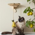 Gruszka BIMBAM | Wisząca zabawka dla kota i dekoracja do produktów PRASKA