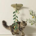 Gałązka Oliwka | Wisząca zabawka dla kota i dekoracja do produktów PRASKA