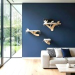 Drapak dla kota na ścianę | zestaw półek dla kota | ZESTAW 6 | dostępne warianty