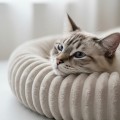 OPONKA – puszyste legowisko dla kota i psa