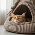 Budka dla kota RATTLE CAT CAP | domek i legowisko dla kota z zabawką