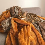 Luksusowy koc dwustronny LUNO | ciepły, miękki w dotyku | dostępne warianty