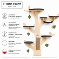 WIERZBA STRONA PRAWA - LISTKI.png