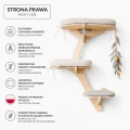 OLIWKA STRONA PRAWA.png
