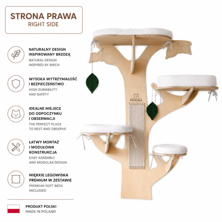 BRZOZA WERESJA PRAWA .png