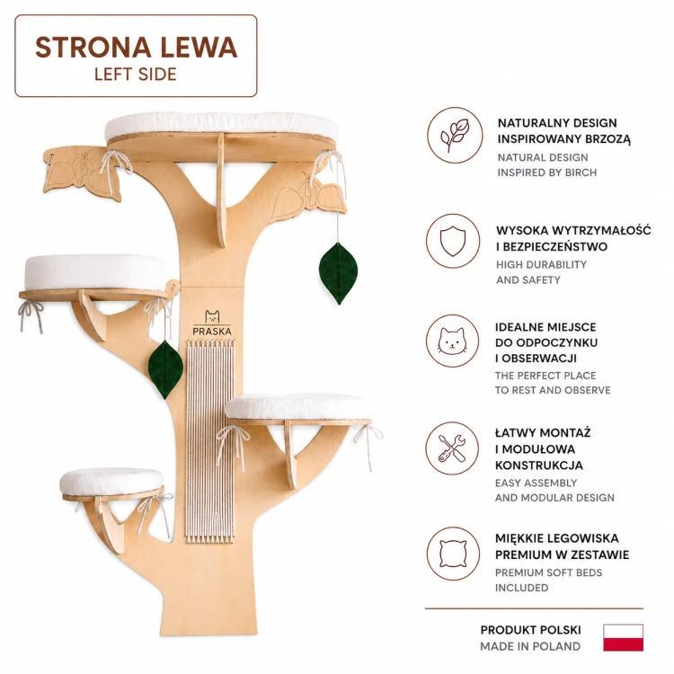 BRZOZA STRONA LEWA