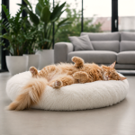 CLOUD cat bed | available variants