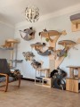 Drapak DRZEWKO DĄB 2 na ścianę dla kota
