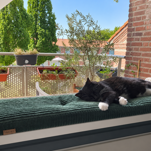 Legowisko dla kota PARAPET z tkaniny