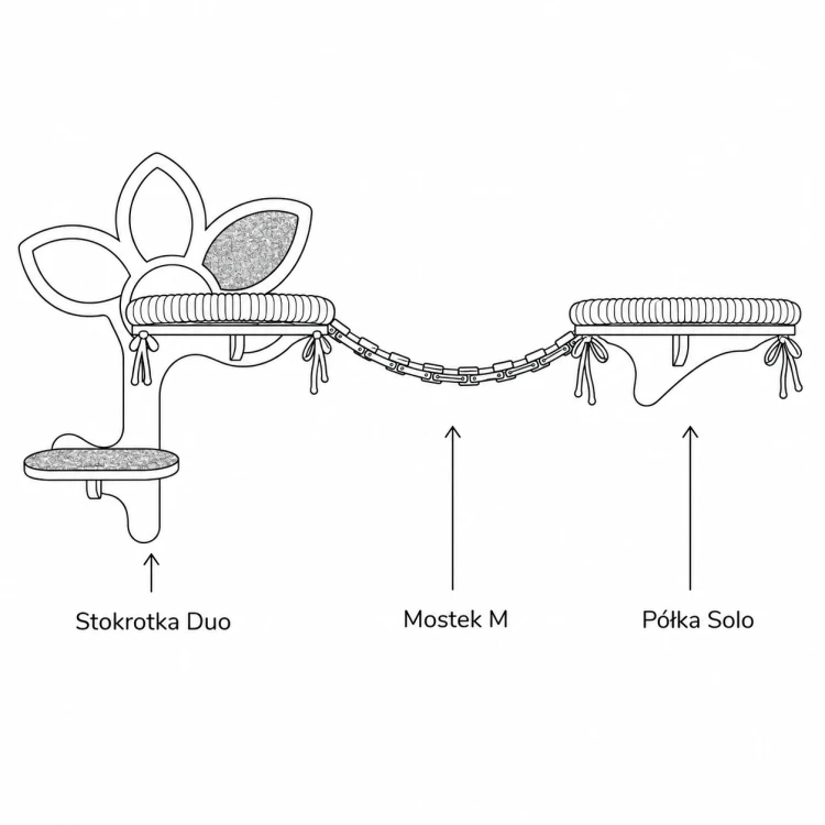 569feecd-cdf1-42bf-8c34-74d0c73cc986.png