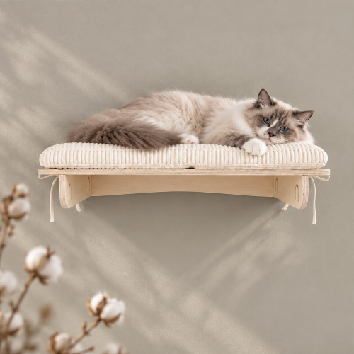 Półka dla dużego kota na ścianę CLASSIC Shelf