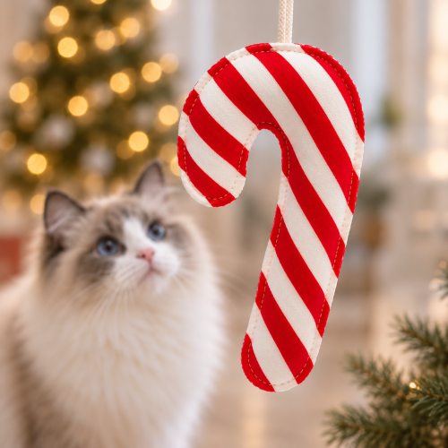 LASKA CHRISTMAS | świąteczna zabawka dla kota