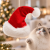 CZAPKA BIMBAM CHRISTMAS | świąteczna zabawka dla kota