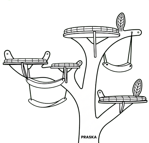 drzewka
